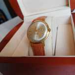 Poliot De Luxe automatic