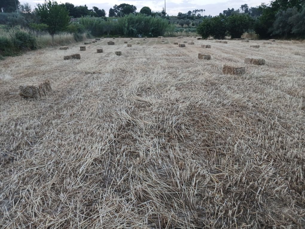 Venda de fardos de palha