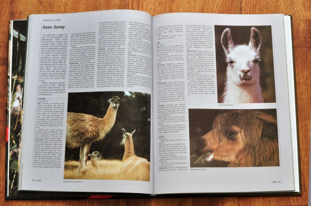 Encyklopedia Dzikich Zwierząt GÓRY