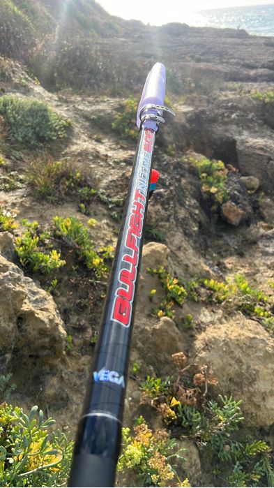 cana vega bullfight nitro boia 6m