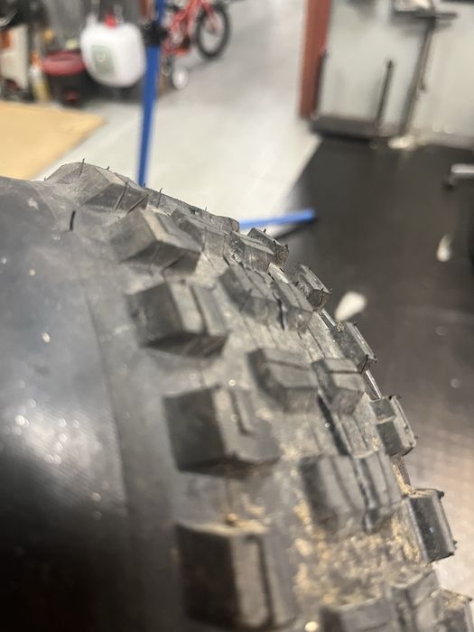 Opona BNT 29x2.5 XR5 Team Issue