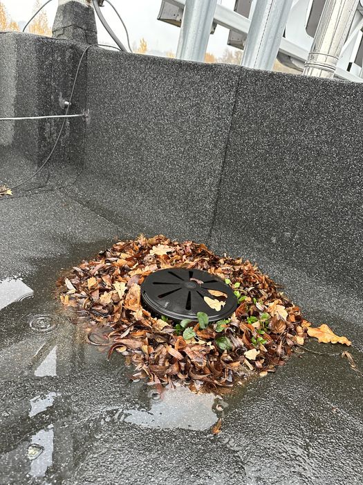 RYNNY - czyszczenie, udrażnianie rynien, szybka realizacja