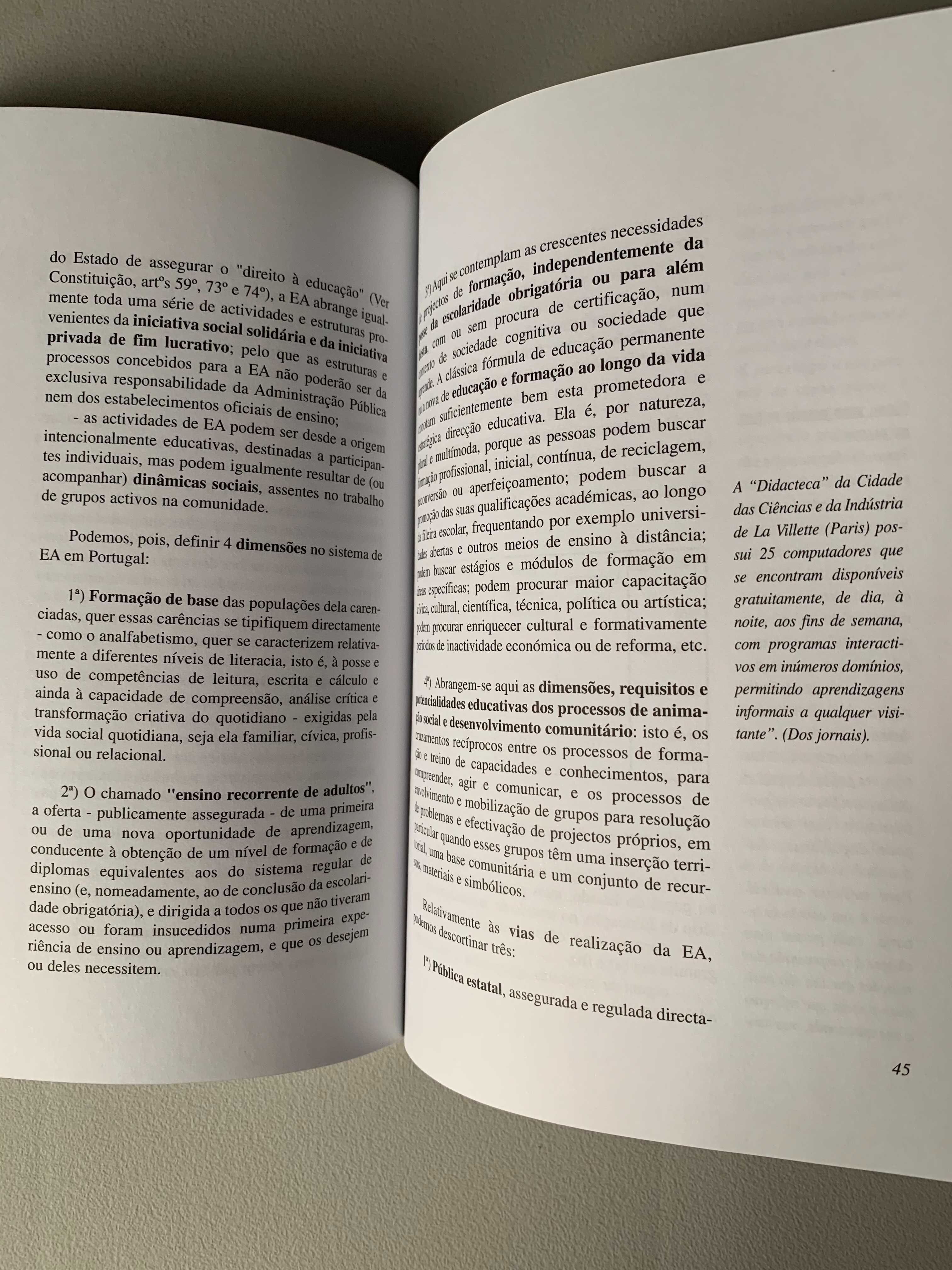 Documento de Estratégia para o Desenvolvimento da Educação de Adultos