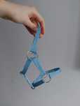Kantar hobby horse