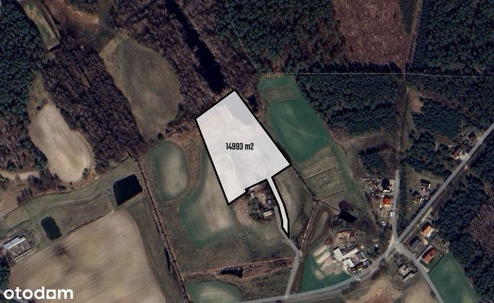 Wyjątkowy grunt przy lesie | starodrzew, staw | Dębówiec, gm. Gniezno