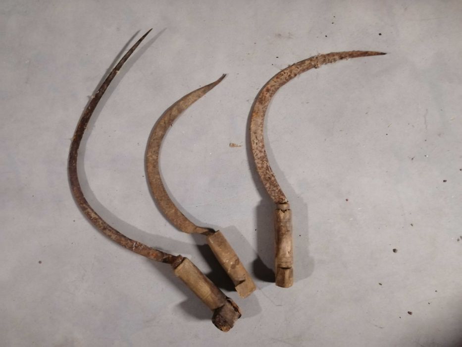 antiguidades (parte 2 de 17)