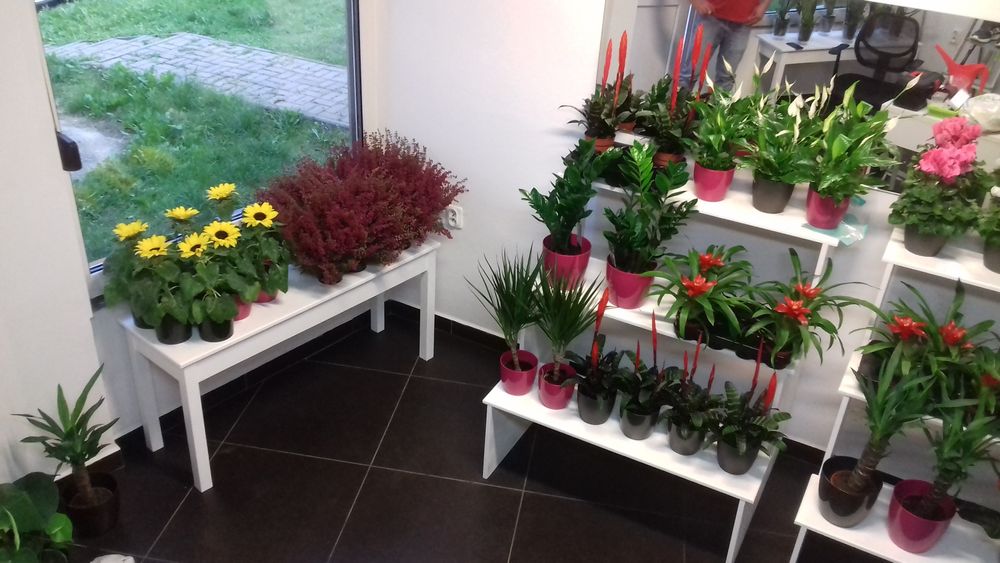 Schody drewniane kwietnik wyposażenie kwiaciarni dekoracja domu