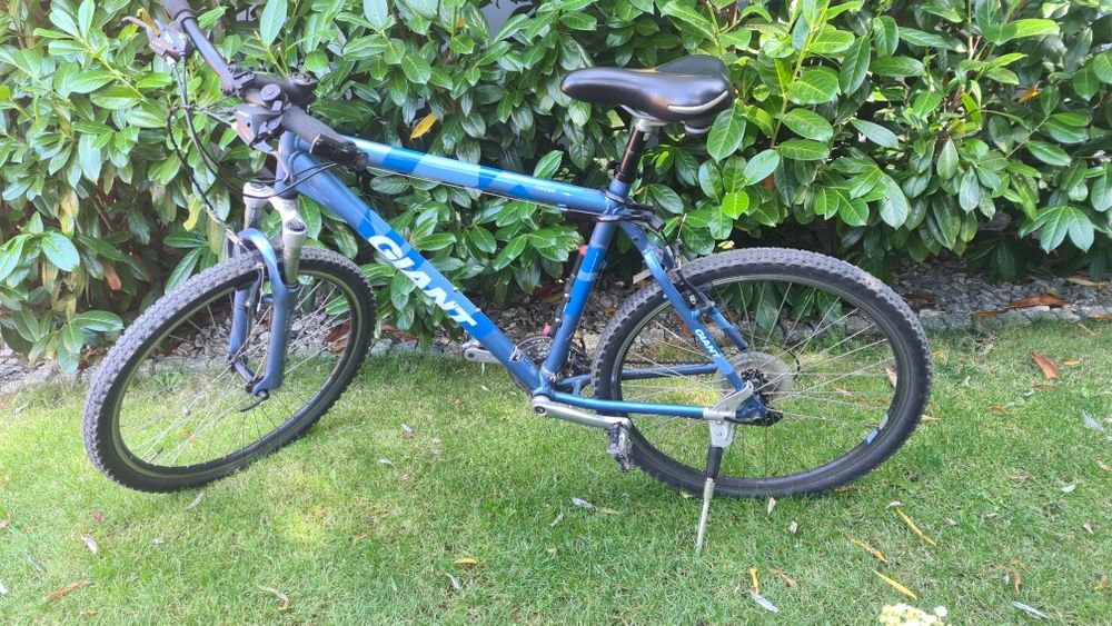 Rower Giant rama L