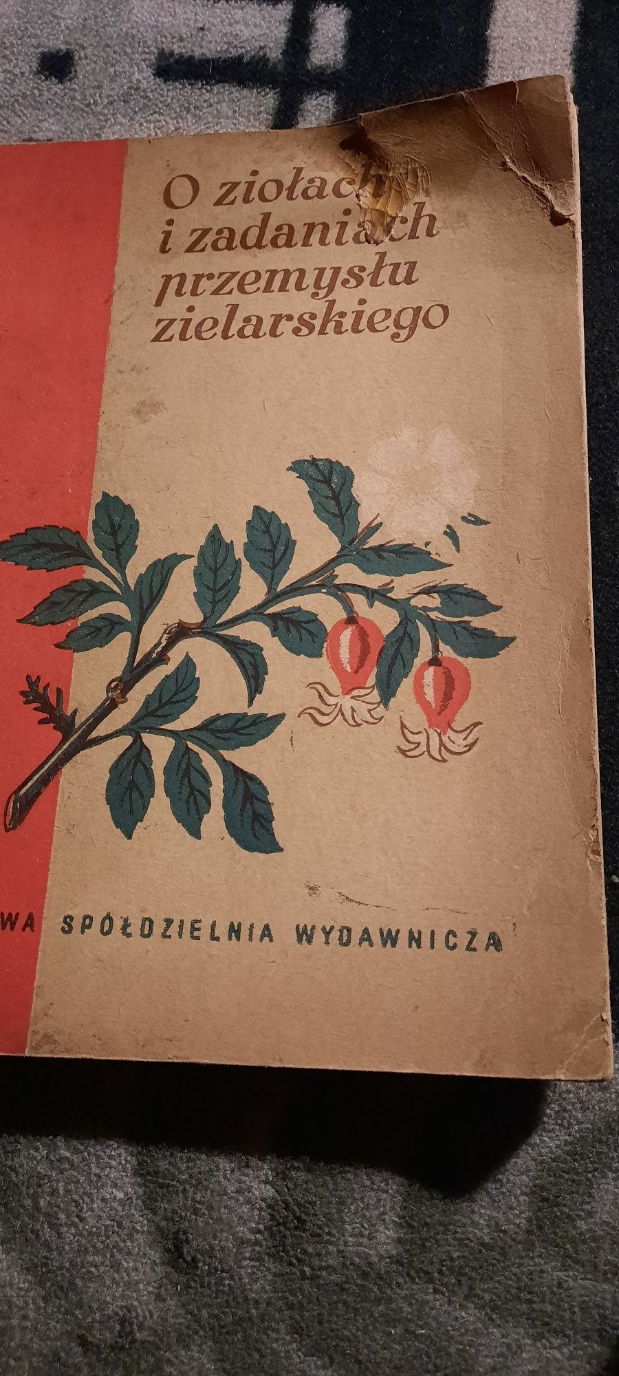 O ziołach i zadaniach przemysłu zielarskiego