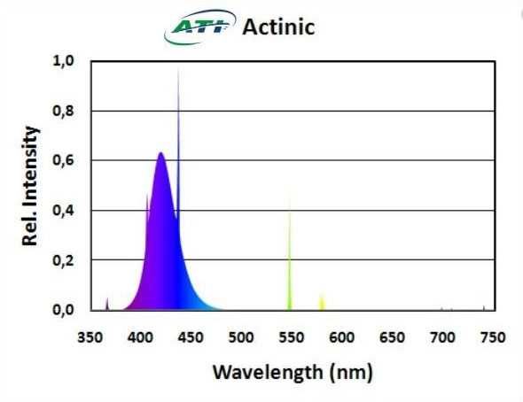 ATI ACTINIC 80 Wat akwarium morskie