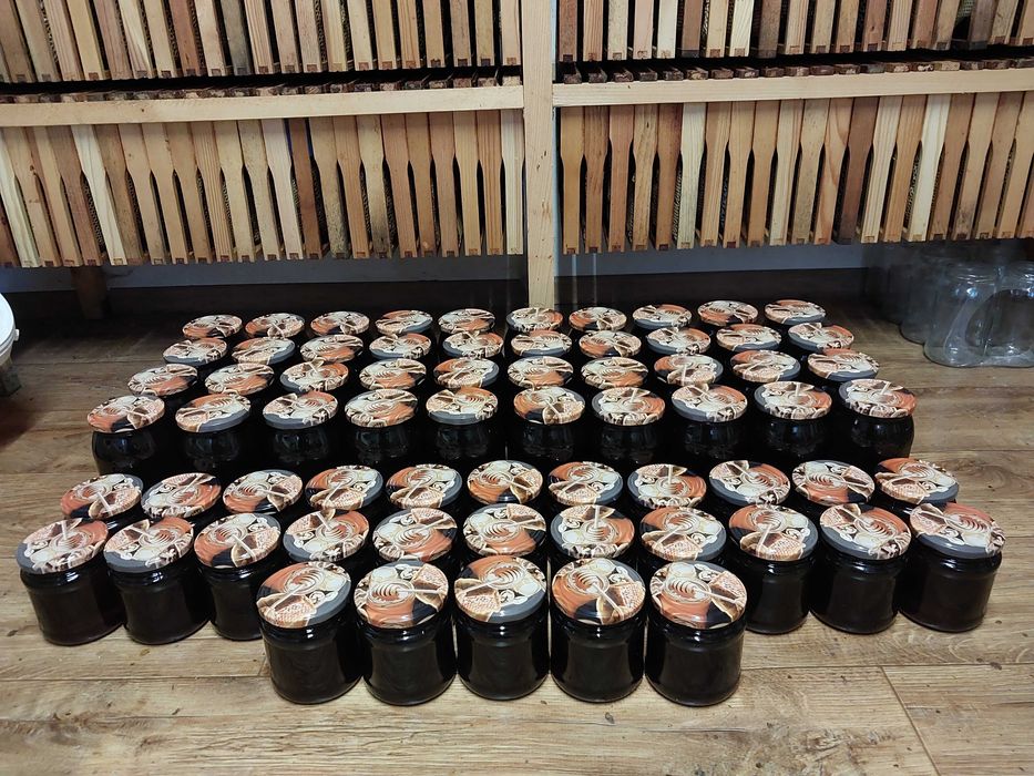 Miód spadziowy, pszczoły, pasieka, ul, ule