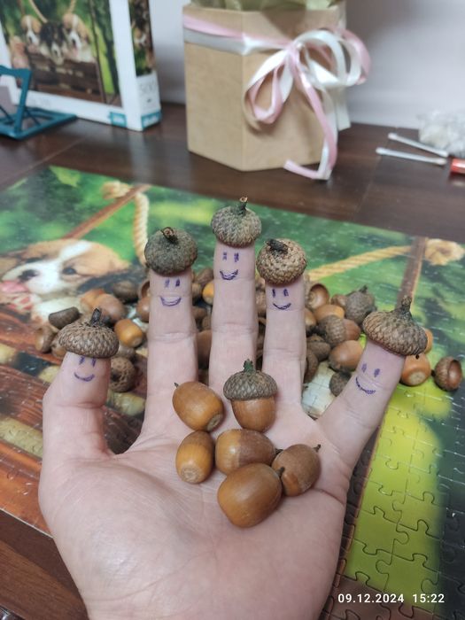 Жолуді для творчості / декору