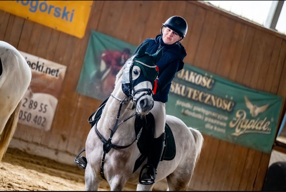 Sprzedam uroczego wałacha w typie araba