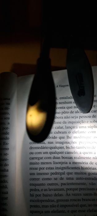 Lanterna ler livros
