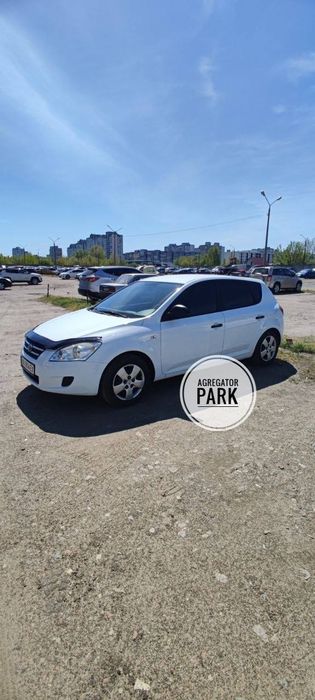 Оренда авто  Київ 3 100 грн