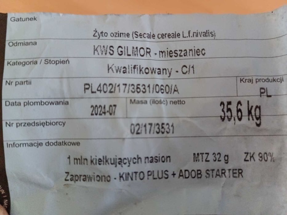 Żyto Hybrydowe GILMOR po kwalifikacie