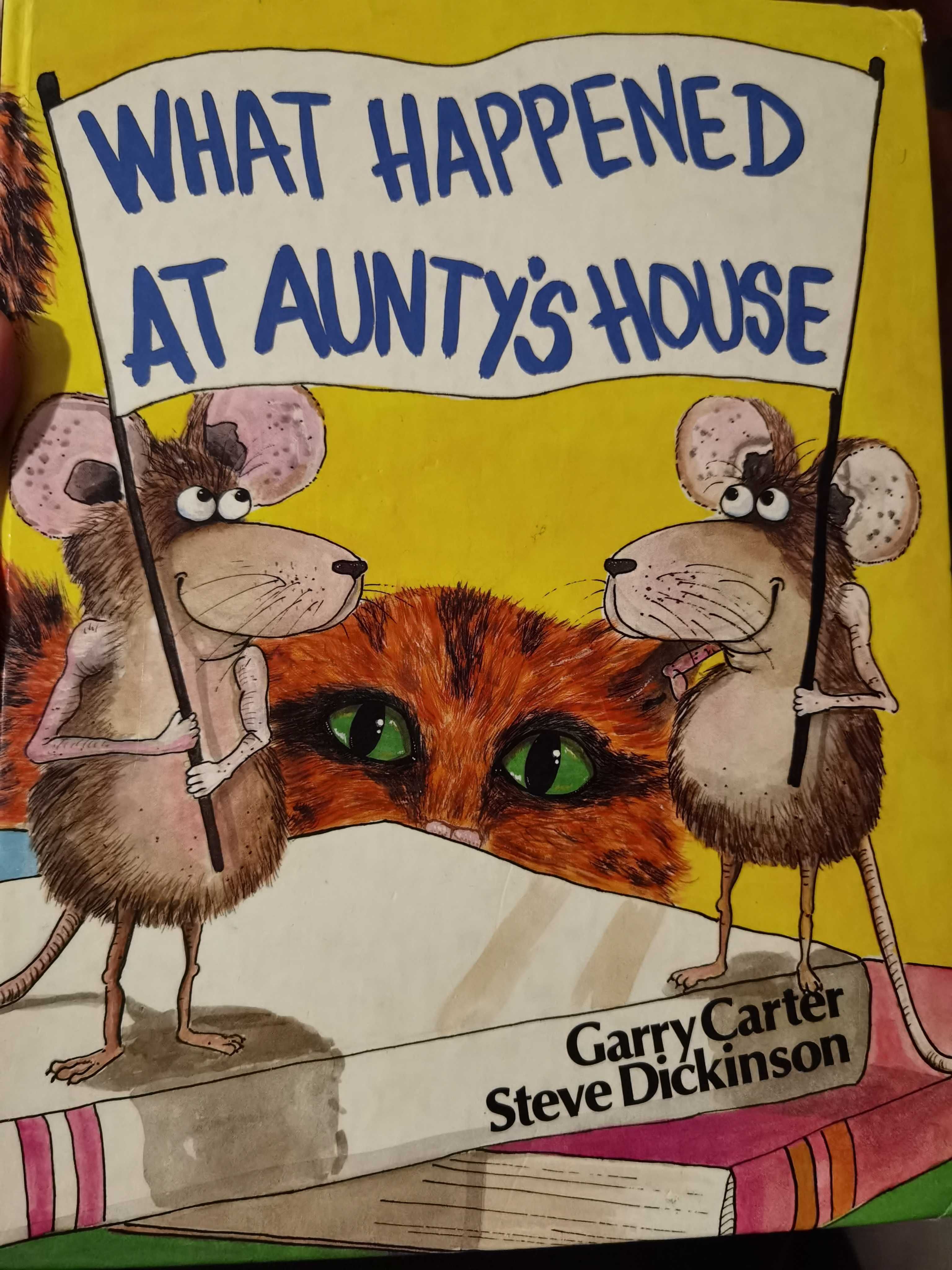 Książka dla dzieci po angielsku What happened at aunt's house
