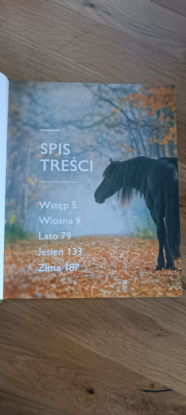 Atlas 'Konie'M. Mąkosa