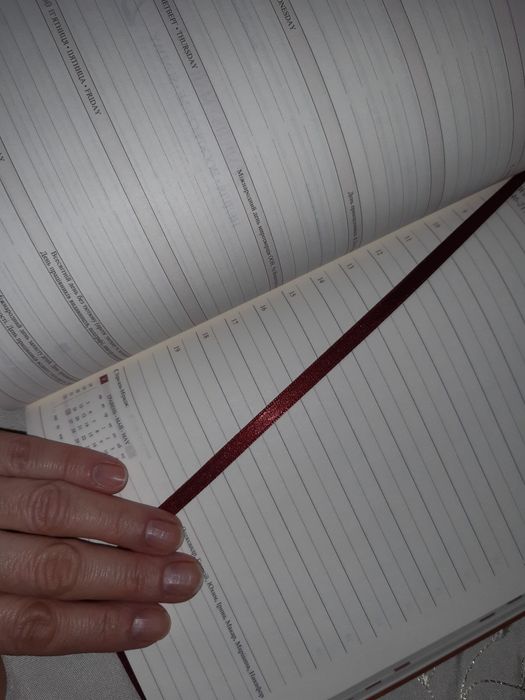 Планер "BINARIO GUSTO" Leo planner діловий блокнот із закладкою