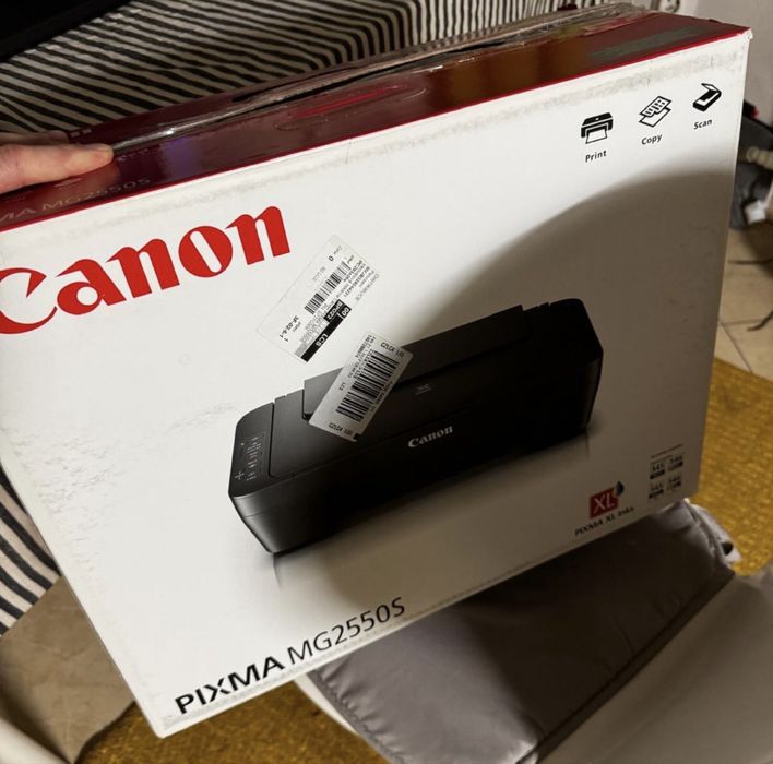 Canon pixma MG2550S
