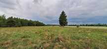 Działki rolne | 3,5ha | Glinojeck | Blisko S7