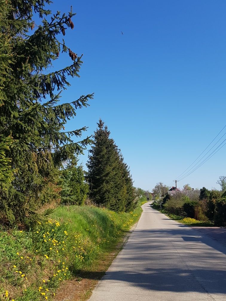 Domek Noclegi Bory Tucholskie Grzyby Lutom