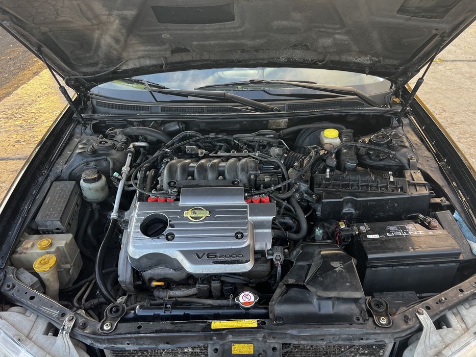 Nissan Maxima 2.0 газ/бенз 2003 рік