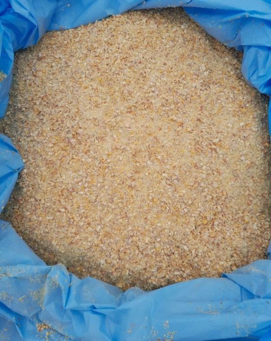 Kukurydza gnieciona CCM kiszonki