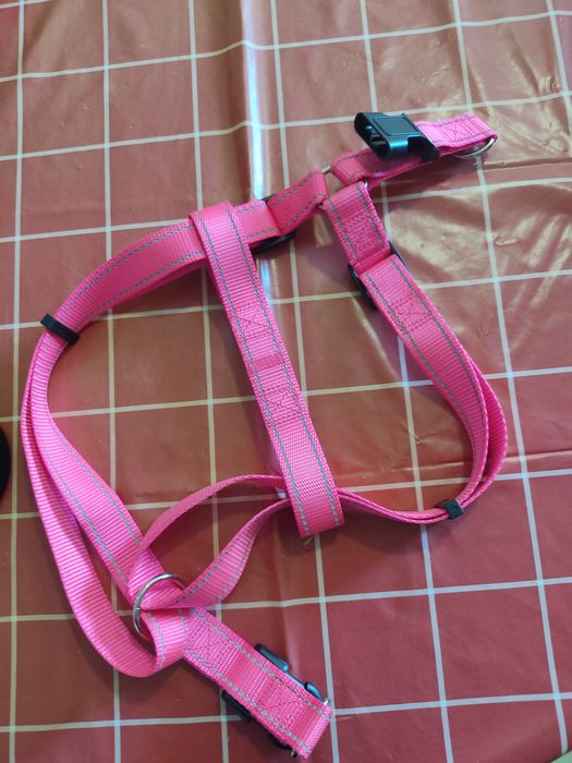 2 Arnês cão grande