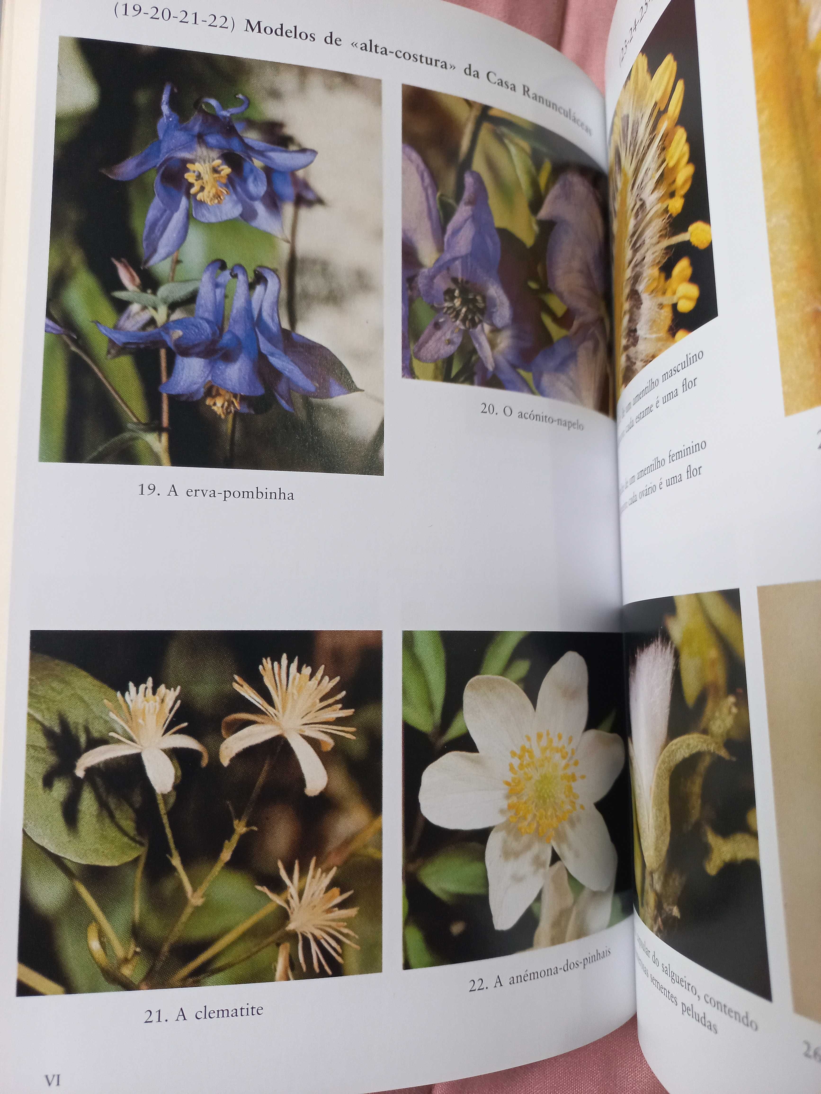 A Prodigiosa Aventura das Plantas - Jean-Marie Pelt e Jean-Pierre Cuny