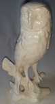 stara porcelanowa sowa