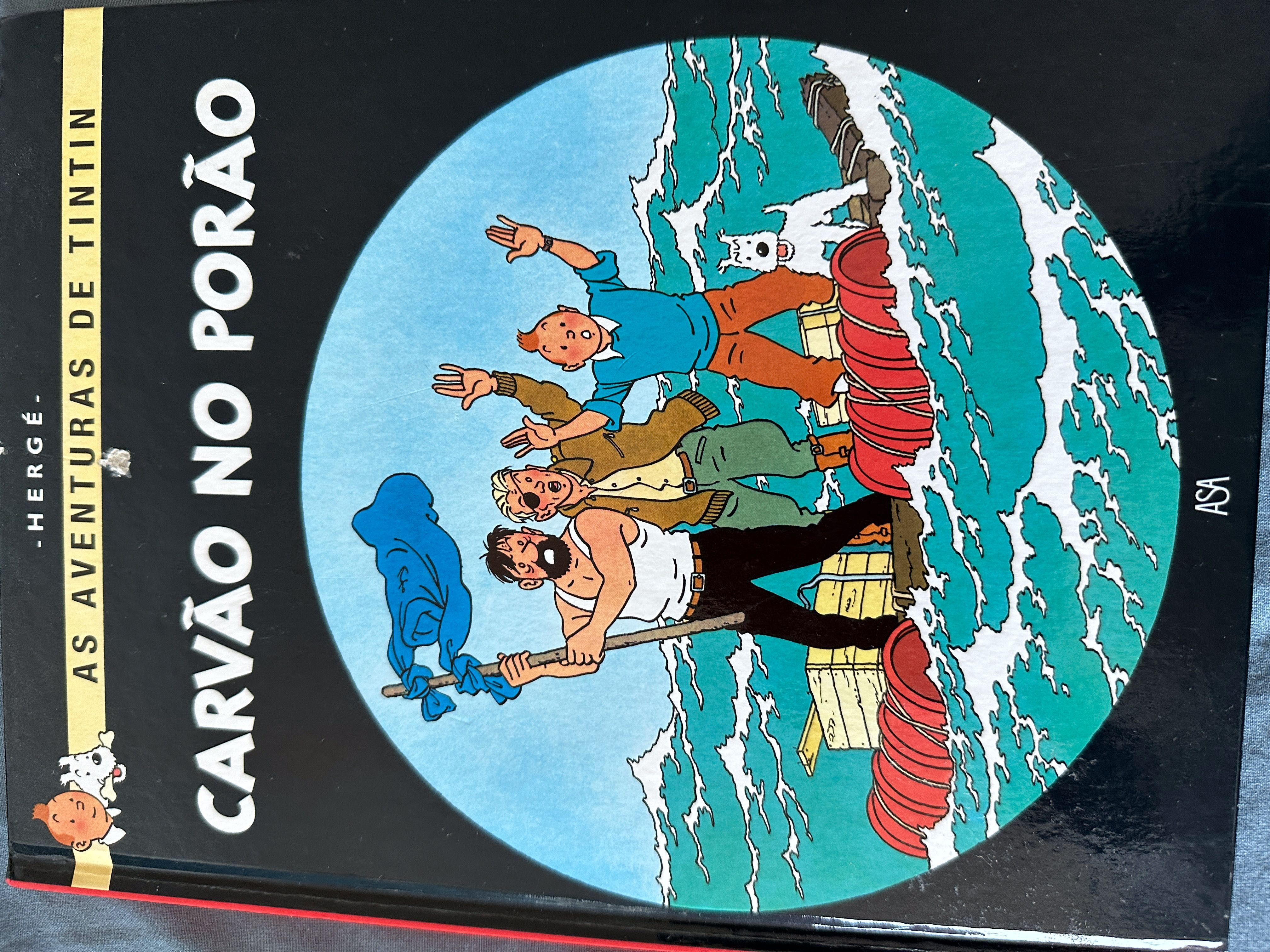 Tintin - Livros de aventura em banda desenhada