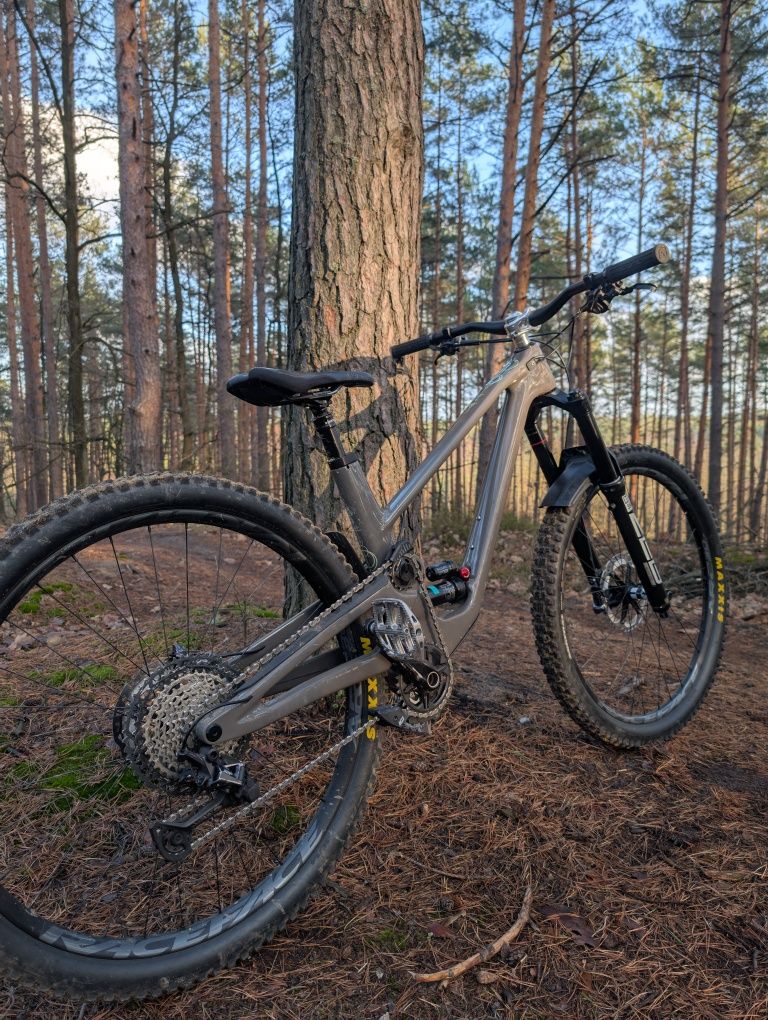 Forbidden Druid 29 L 2021