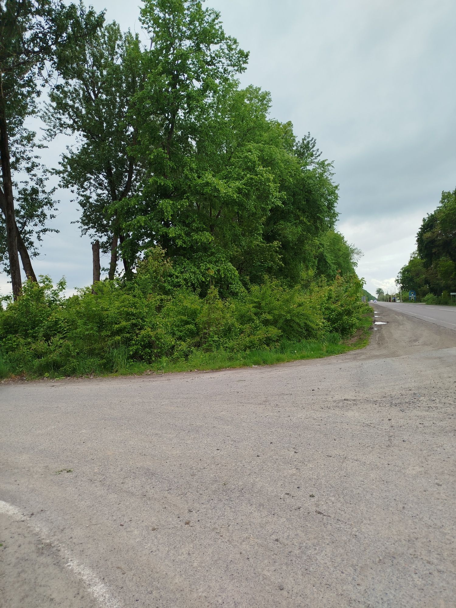 Продаж ділянки Бартатів ,комерція Городоцького р-н 2-га
