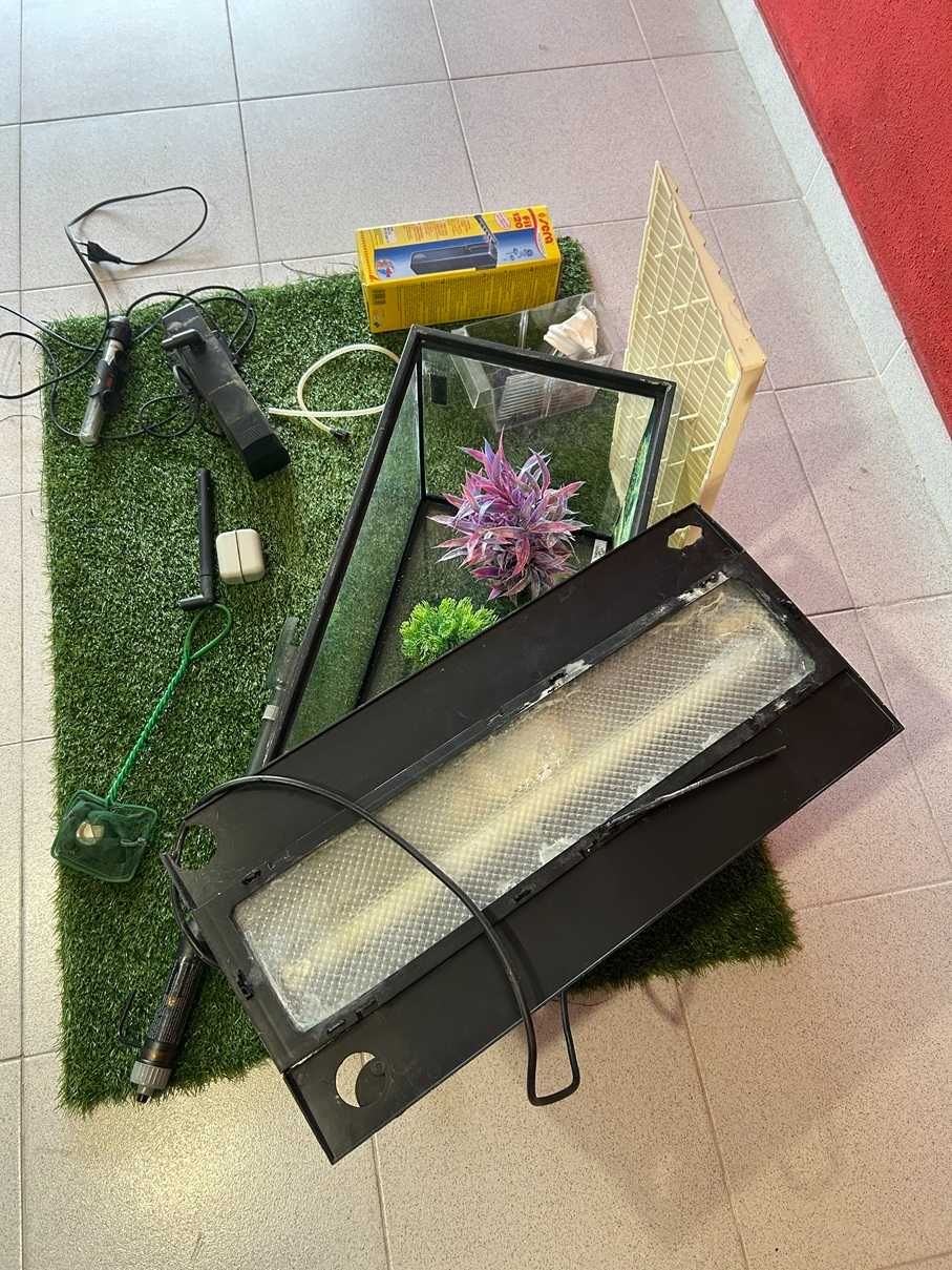 Set de Aquariofilia com Aquário e Acessórios (50 cm x 30 cm x 23 cm)