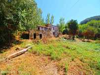 Quinta com Ribeiro e casa para restaurar - Terreno de cultivo