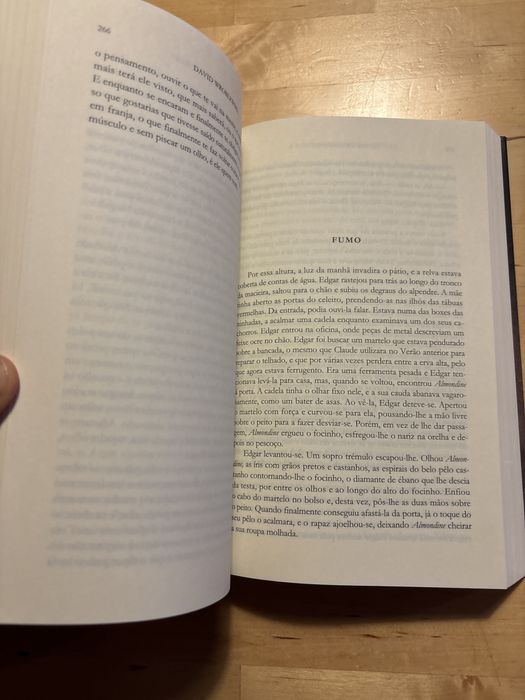 A historia de Edgar Sawtelle