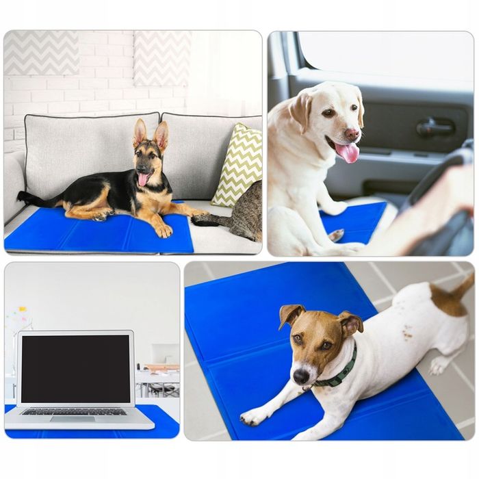 Mata Chłodząca Dla Psa Kota Legowisko Żelowa Xxl