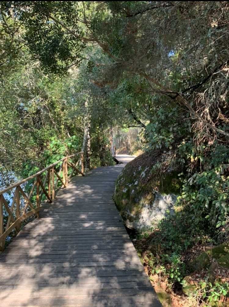 Terreno rústico idílico em Belver, rio Tejo e praia fluvial