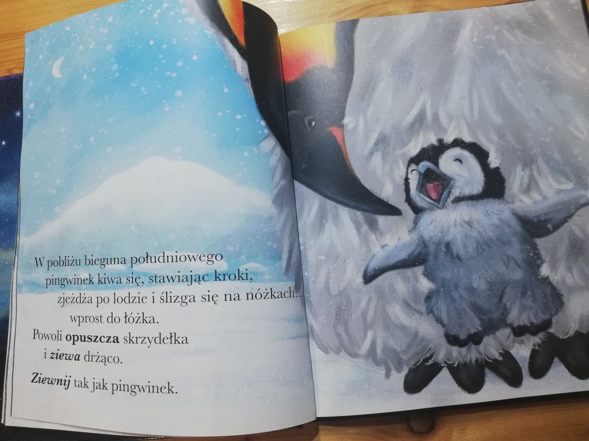 Książka dla dzieci czytanka usypianka