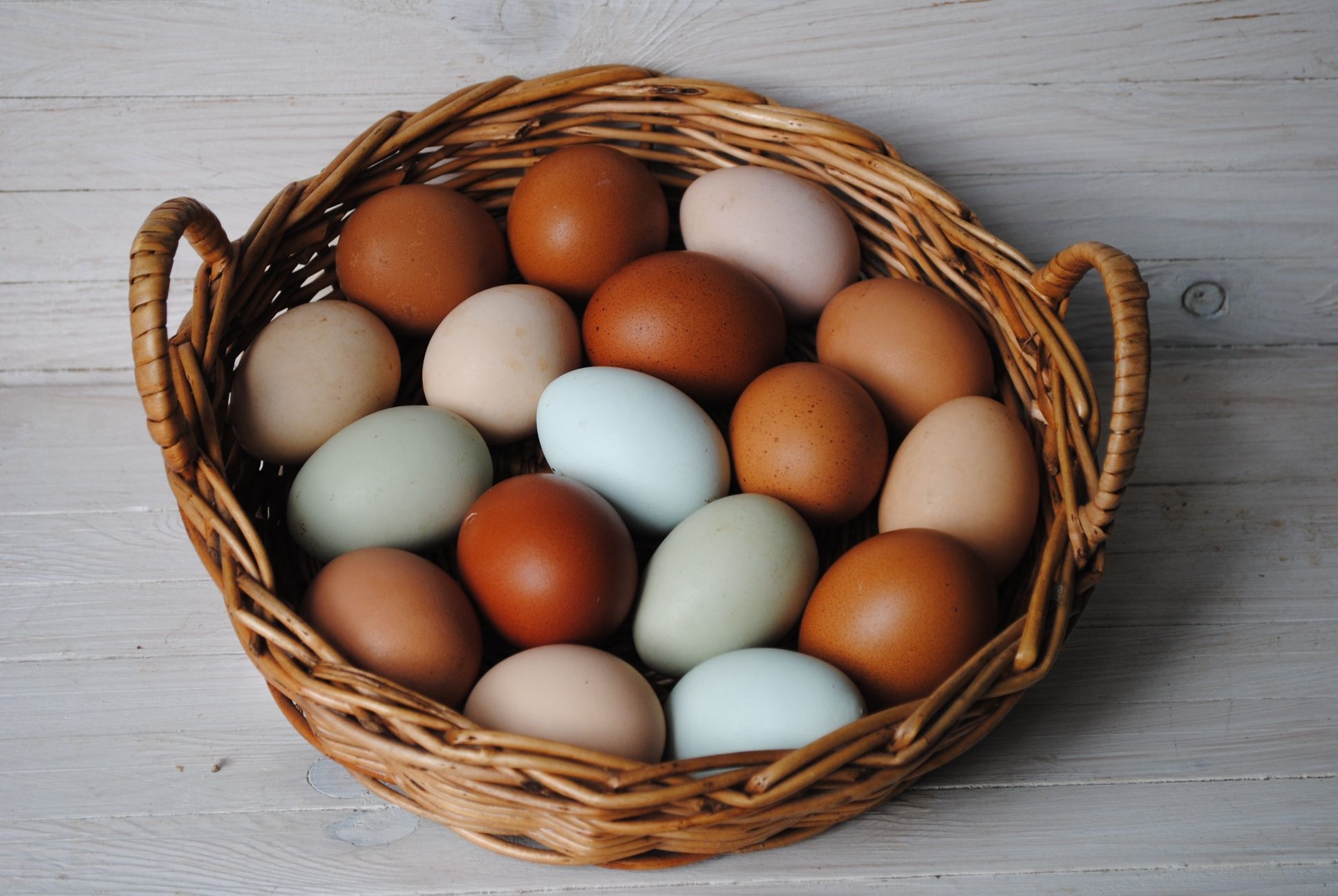 Инкубационное яйцо. Несушки. Помесные куры. Пасхальные яйца
