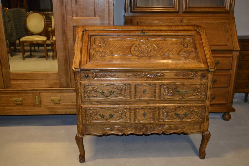 sekretarzyk ludwikowski .lity dąb .#2