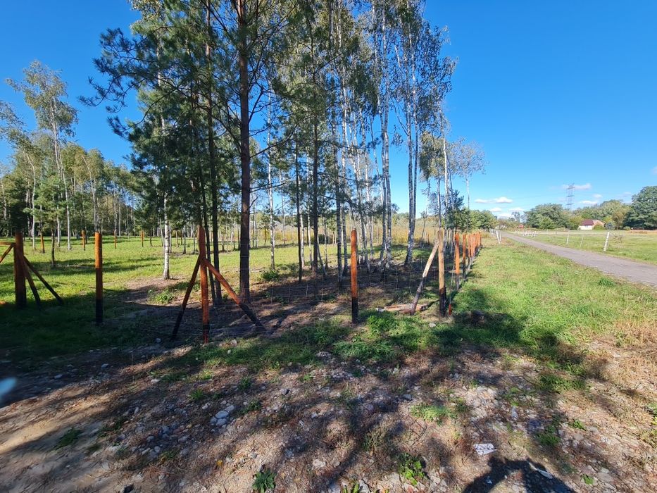 Ogrodzenie tymczasowe leśne budowa