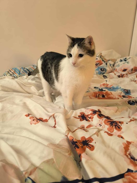 Dlaczego nikt Jej nie chce?..