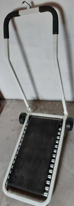 bieznia dla sportowcow seniorow i zwierzakow