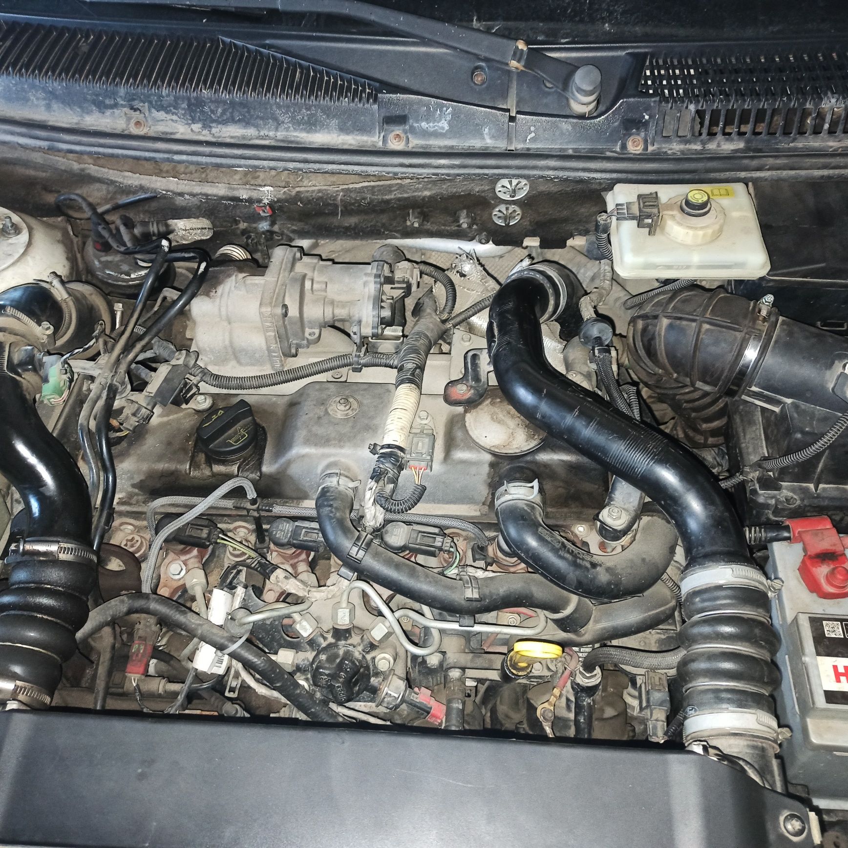 Ford Transit Connect 2007 Maxi