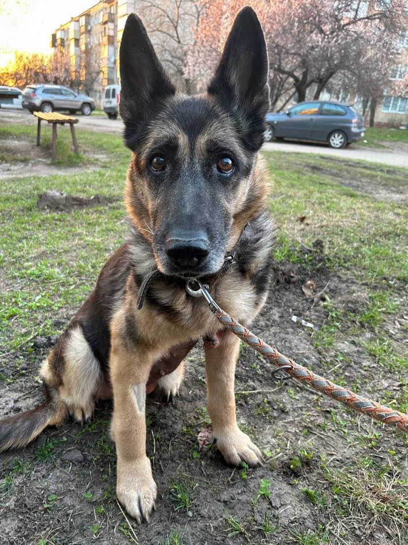 Lila pokonała raka i poznała smak wojny daj jej dom na zawsze PILNE