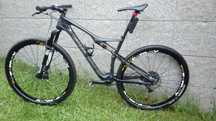 Specialized epic 29 Carbon
