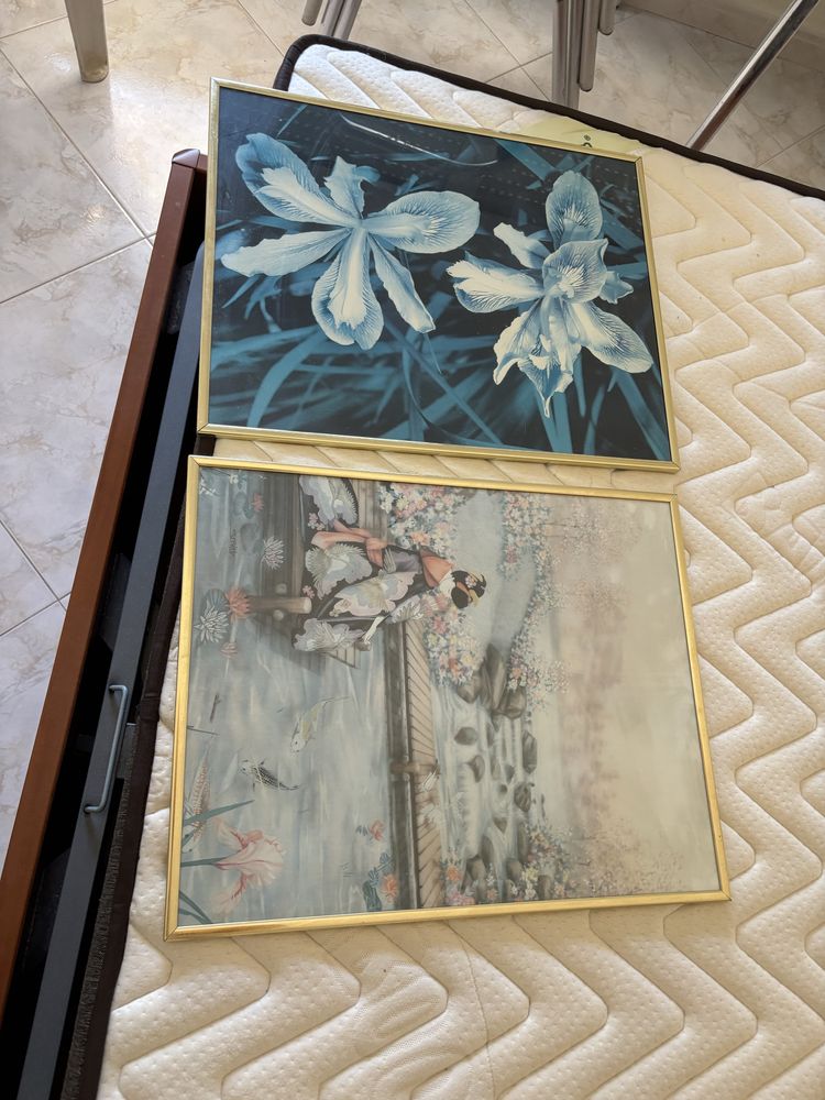 Quadros variados