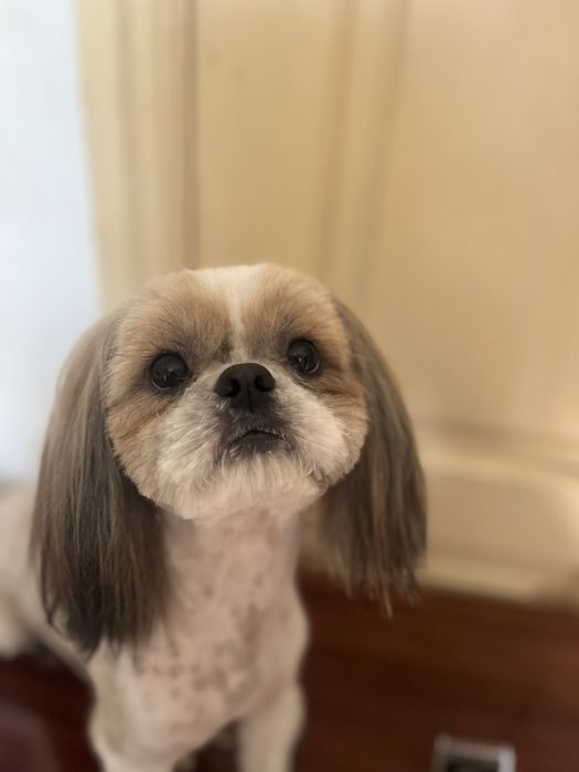 Гарний хлопчик шукає дівчинку